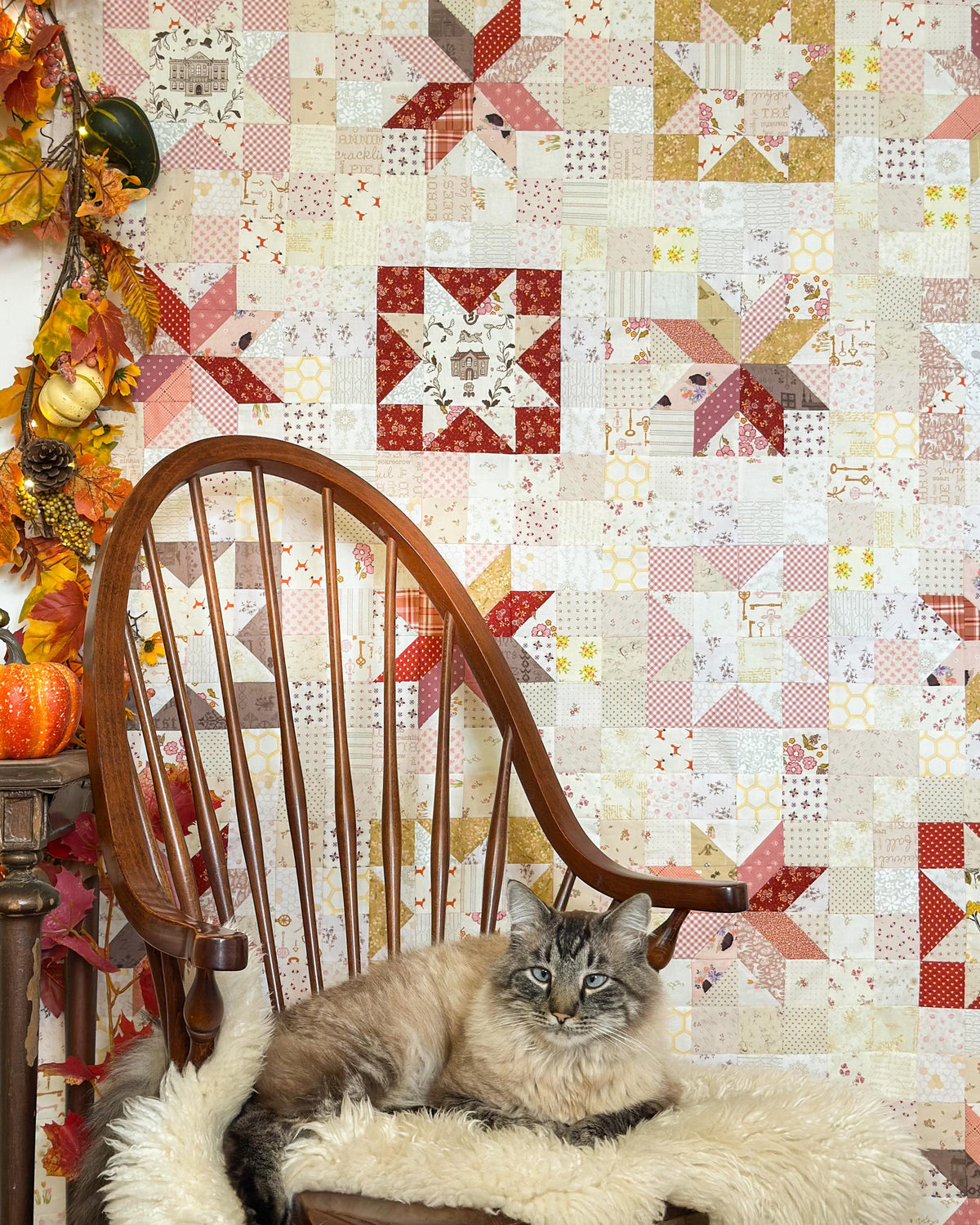 A fluffy gray and beige cat lies on a cream faux-fur throw on a wooden spindle-back chair, set against a wall covered in a patchwork quilt with autumn-themed blocks. Fall garlands and pumpkins decorate the left side of the scene.