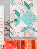 Contemporary Coral Kit + Pattern