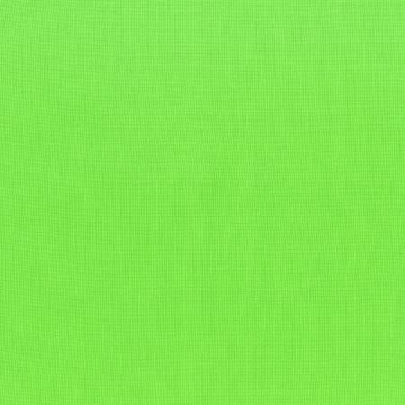 RJR Cotton Supreme 346 -  Sour Apple Fabric by the half yard